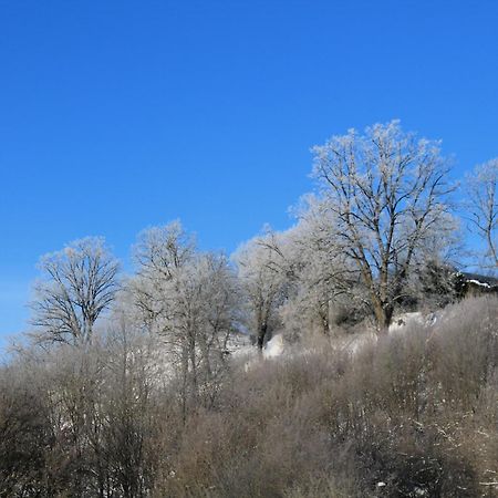 Belvedere Appart & Chalet - Ihr Zuhause Auf Zeit Am Edersee - Ihr Geschenk Die Gaestecard Grimmheimat Waldeck  Luaran gambar